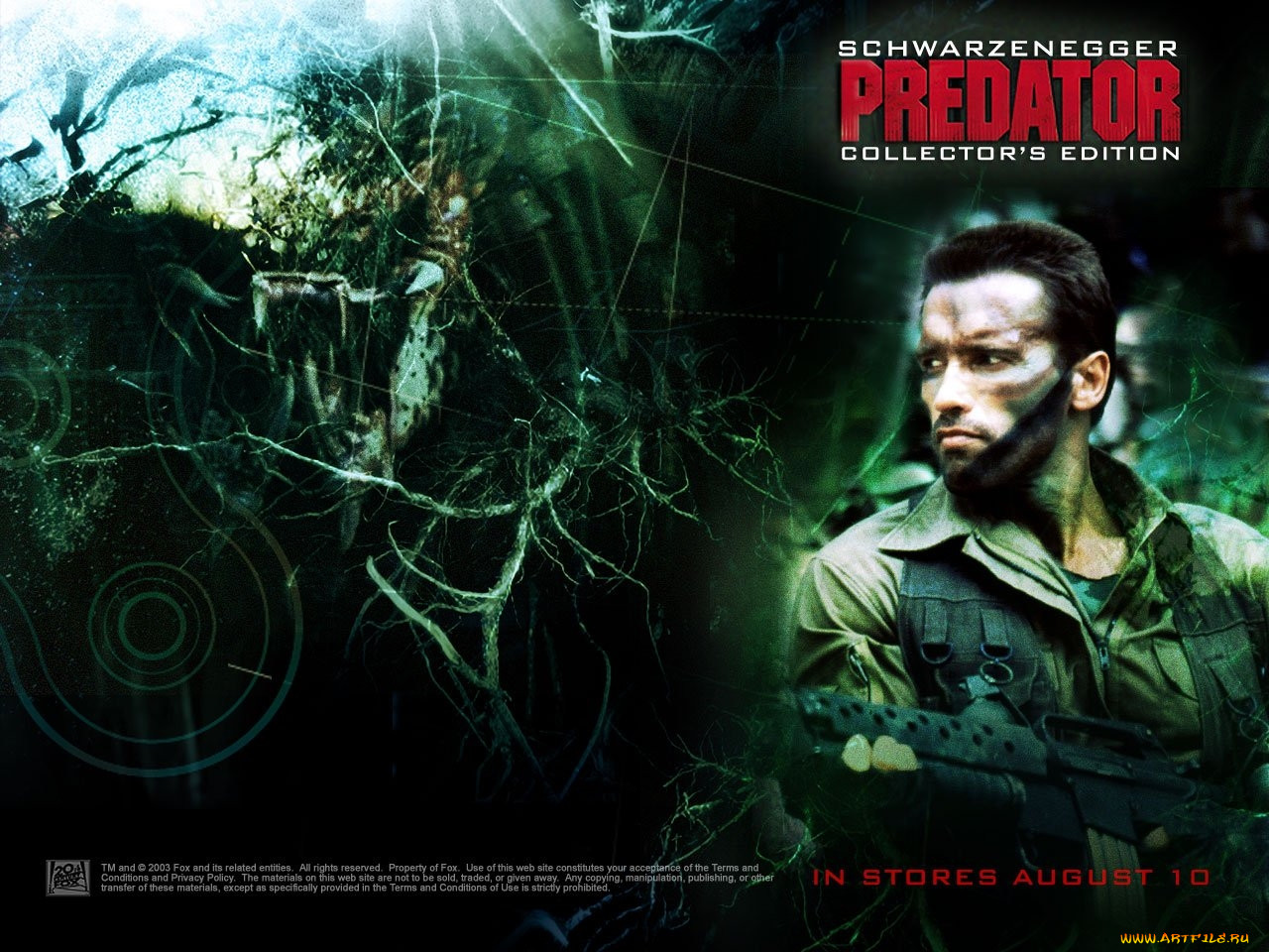 predator, , 